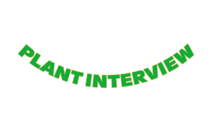Plant Interview