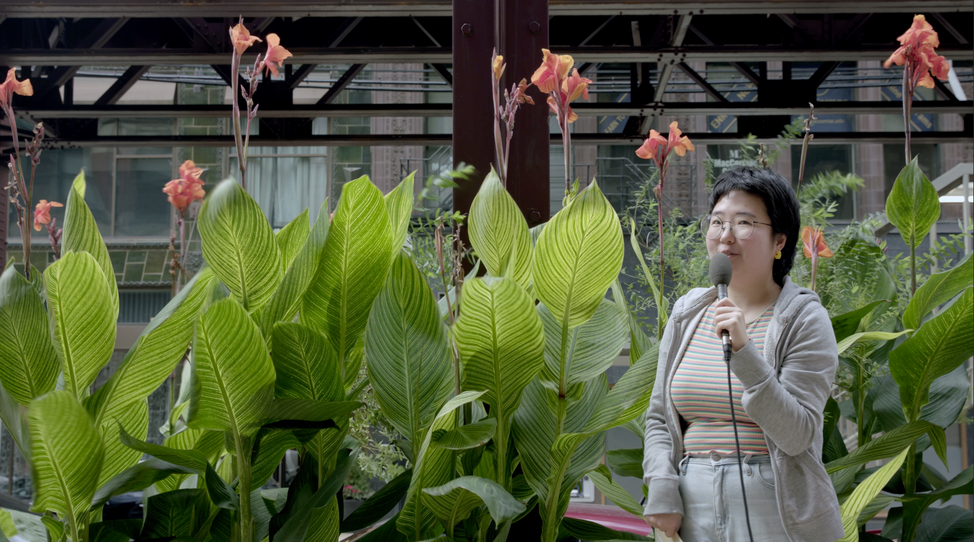 Plant Interview