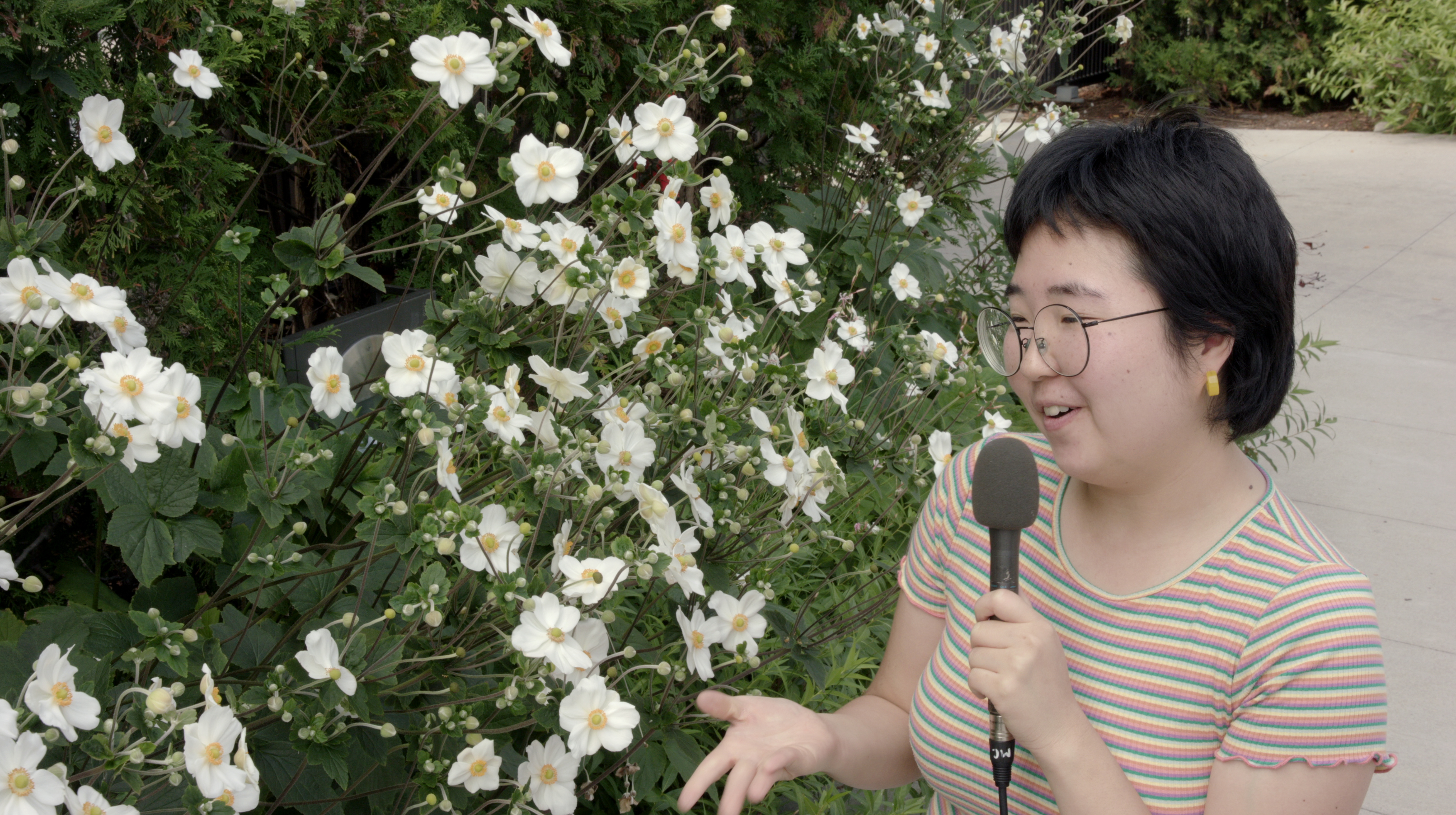 Plant Interview