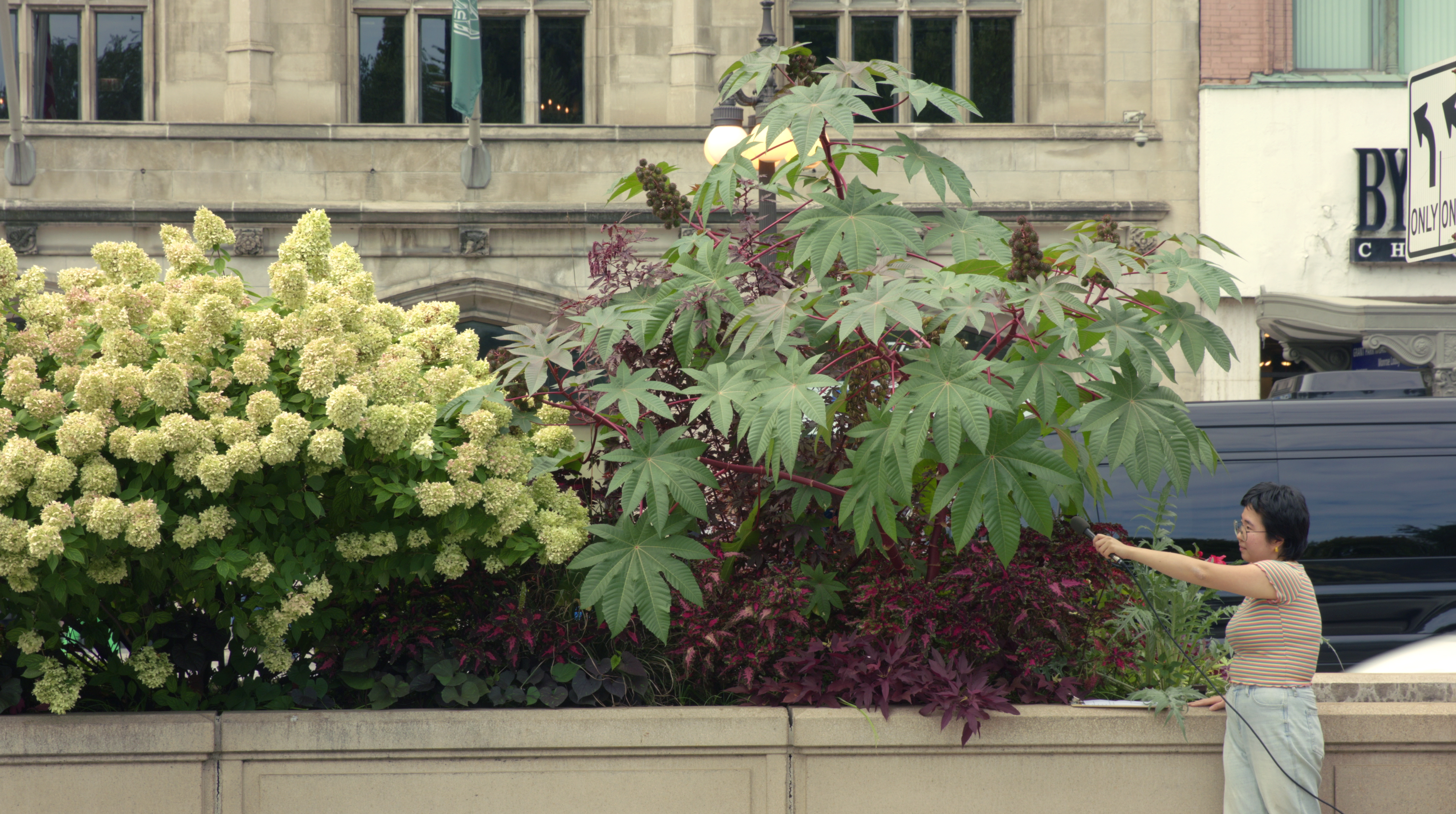 Plant Interview